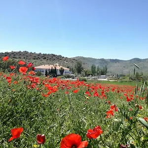 2* Hotel Arco Del Sol